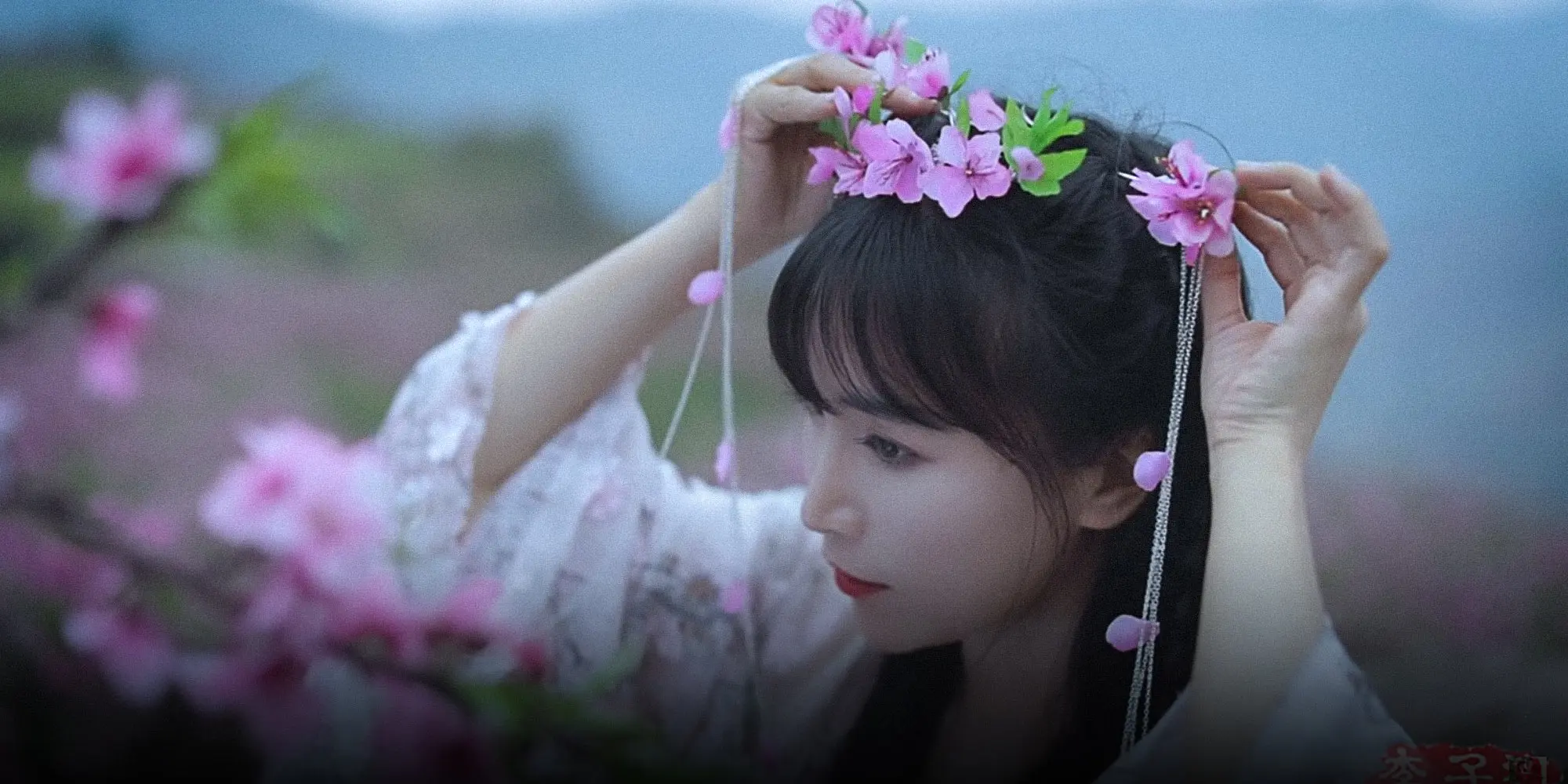 Li Ziqi: A Romantic in the Year of the Plague