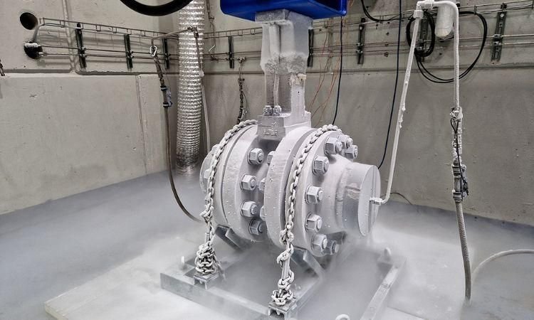 Cryogenic Valve Market Trends, Growth, and Forecast (2025-2034)